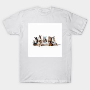 Dogs Sunbathing On Deckchairs T-Shirt